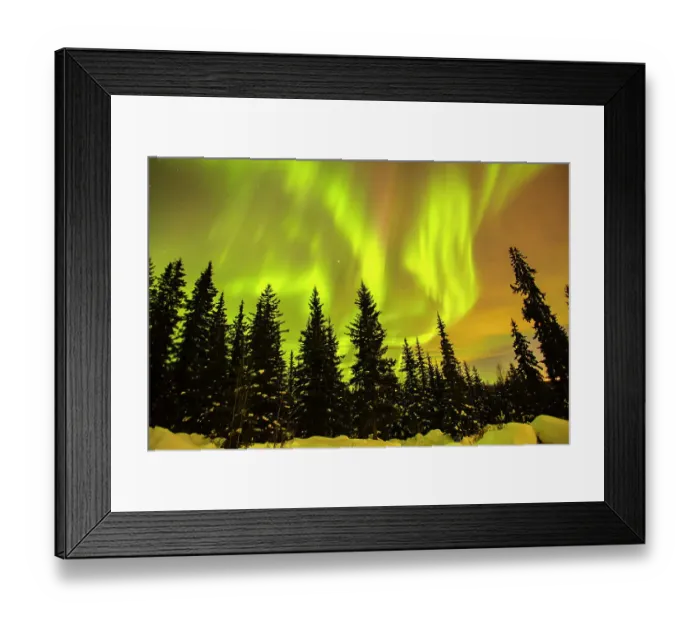 Framed Print : USA, Alaska, Fairbanks. Aurora borealis and tree silhouettes