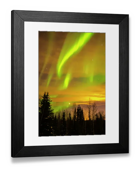 Framed Print : USA, Alaska, Fairbanks. Aurora borealis and tree silhouettes at sunset