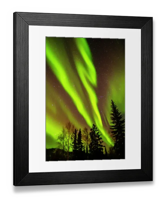 Framed Print : USA, Alaska, Chena Hot Springs Resort. Aurora borealis fills night sky Framed Print : USA, Alaska, Chena Hot Springs Resort. Aurora borealis fills night sky