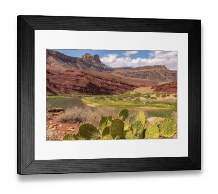 Framed Print : USA, Arizona, Grand Canyon National Park. Landscape with cacti and Colorado River Framed Print : USA, Arizona, Grand Canyon National Park. Landscape with cacti and Colorado River