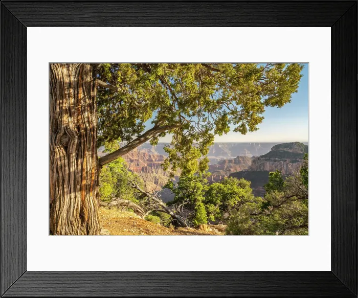 Framed Print : USA, Arizona, Grand Canyon National Park. Landscape from North Rim of Bright Angel Point
