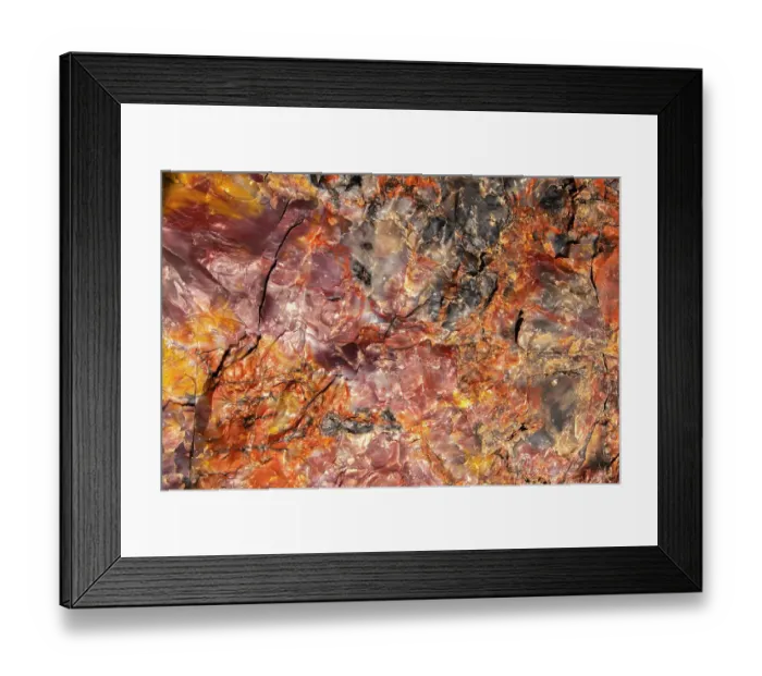 Framed Print : USA, Arizona, Petrified Forest National Park. Close-up of petrified tree Framed Print : USA, Arizona, Petrified Forest National Park. Close-up of petrified tree