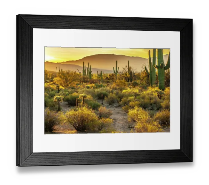 Framed Print : USA, Arizona, Sabino Canyon. Sonoran Desert landscape with cacti and mountains
