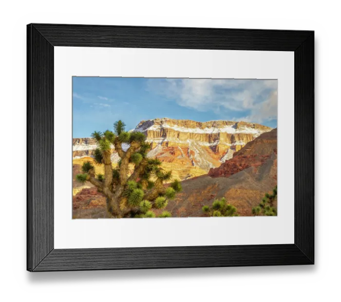 Framed Print : USA, Arizona, Virgin Mountains. Winter landscape with mountain and Joshua trees