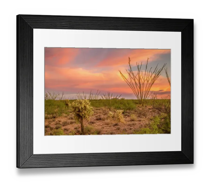 Framed Print : USA, Arizona, Santa Cruz County. Sunset on desert landscape Framed Print : USA, Arizona, Santa Cruz County. Sunset on desert landscape