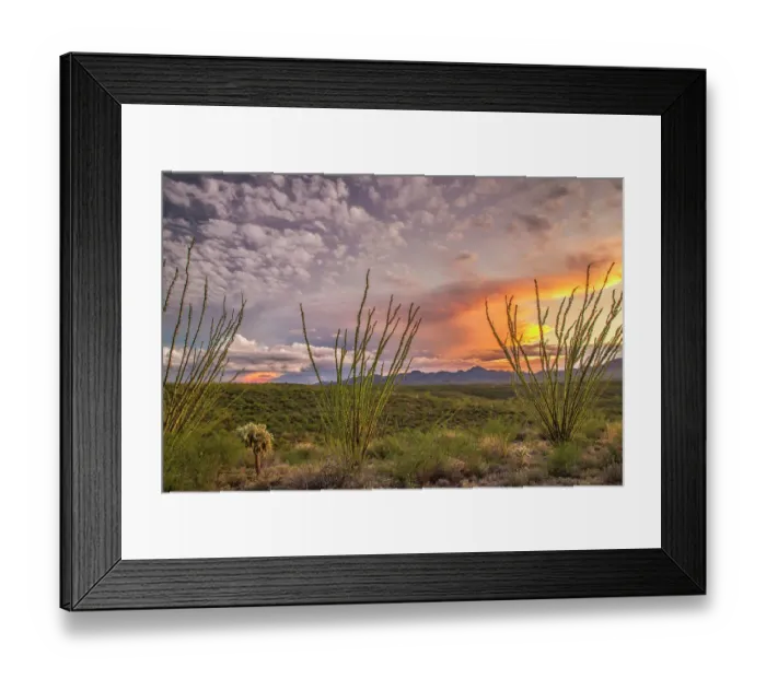 Framed Print : USA, Arizona, Santa Cruz County. Sunset on desert Framed Print : USA, Arizona, Santa Cruz County. Sunset on desert