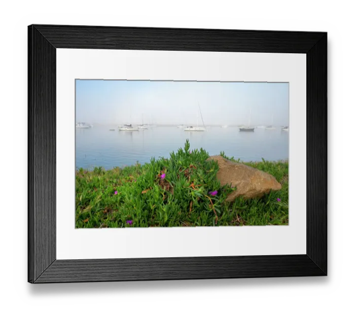 Framed Print : USA, California. Foggy morning on Morrow Bay Framed Print : USA, California. Foggy morning on Morrow Bay