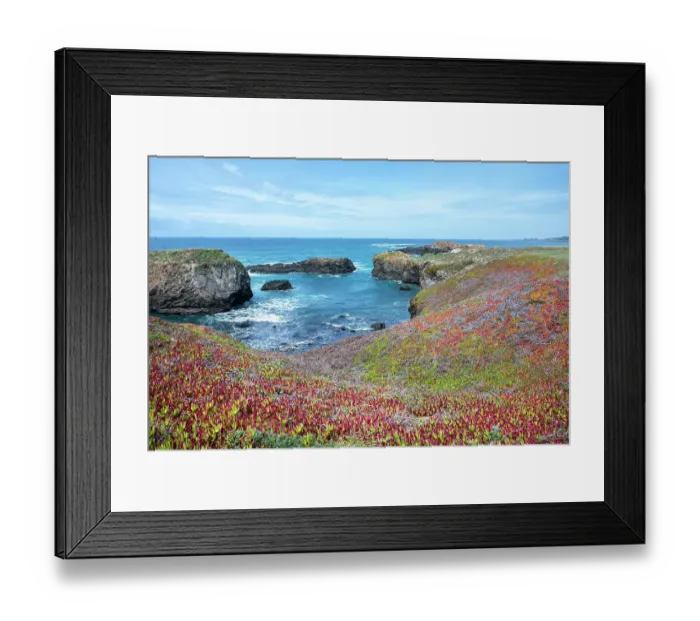 Framed Print : USA, California. Pacific Ocean, cliffs edge in Mendocino Headlands State Park Framed Print : USA, California. Pacific Ocean, cliffs edge in Mendocino Headlands State Park