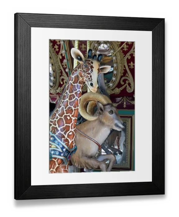 Framed Print : USA, California. Carousel at the Living Desert Zoo and Gardens, Palm Desert Framed Print : USA, California. Carousel at the Living Desert Zoo and Gardens, Palm Desert