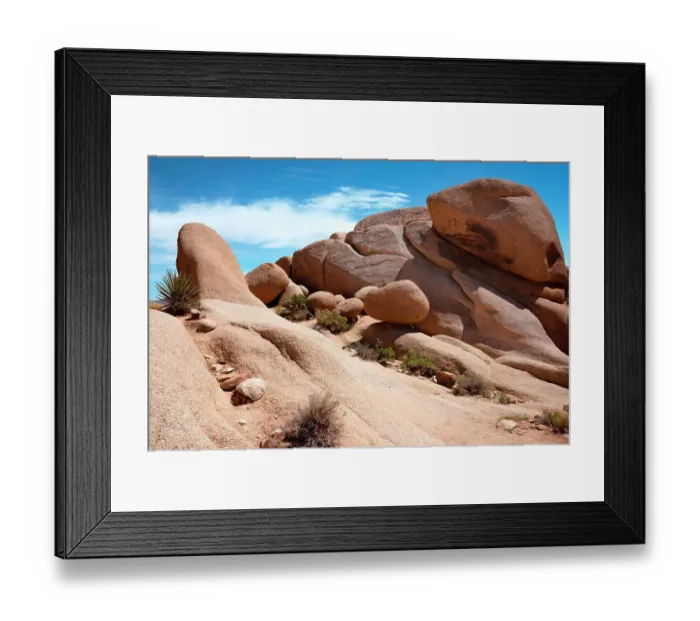 Framed Print : USA, California. Joshua Tree National Park Framed Print : USA, California. Joshua Tree National Park