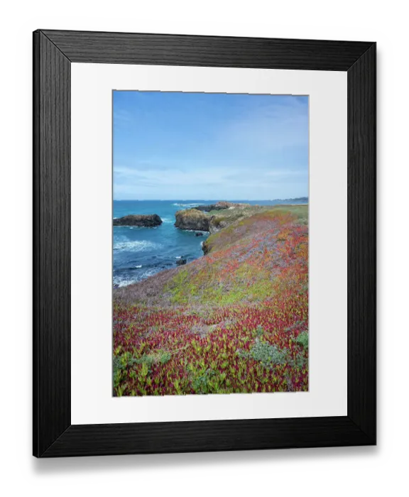 Framed Print : USA, California. Pacific Ocean, cliffs edge in Mendocino Headlands State Park Framed Print : USA, California. Pacific Ocean, cliffs edge in Mendocino Headlands State Park