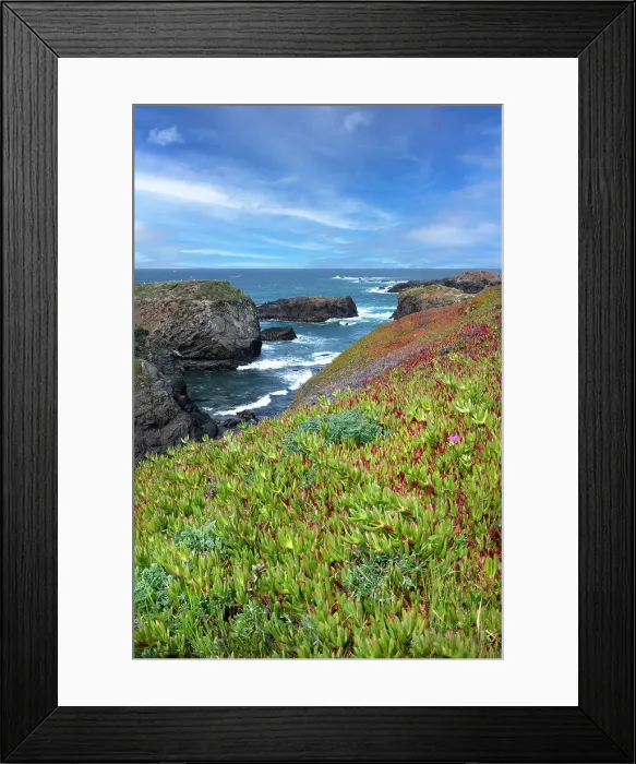Framed Print : USA, California. Pacific Ocean, Mendocino Headlands State Park Framed Print : USA, California. Pacific Ocean, Mendocino Headlands State Park
