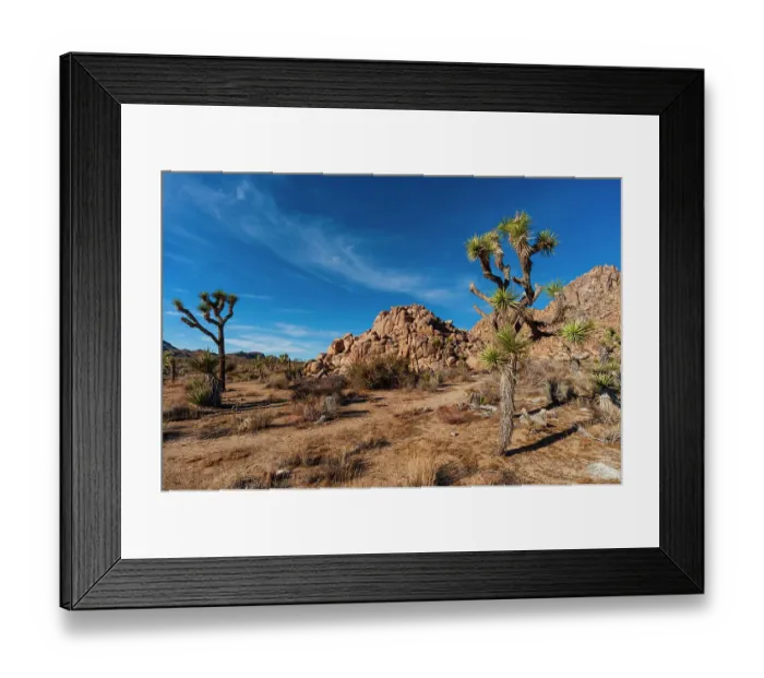 Framed Print : Joshua Tree National Park. California, USA