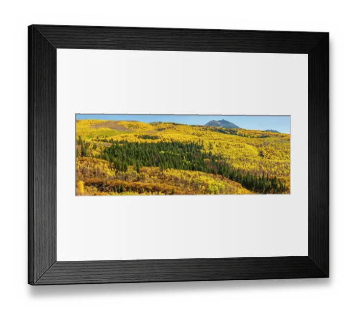 Framed Print : USA, Colorado, White River National Forest. Panoramic Framed Print : USA, Colorado, White River National Forest. Panoramic