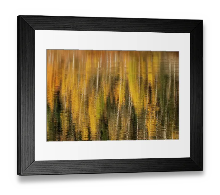 Framed Print : Autumn aspen trees reflecting on lake, Colorado Framed Print : Autumn aspen trees reflecting on lake, Colorado