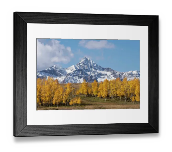 Framed Print : USA, Colorado, Uncompahgre National Forest. Wilson Peak and grove of aspen trees in autumn Framed Print : USA, Colorado, Uncompahgre National Forest. Wilson Peak and grove of aspen trees in autumn