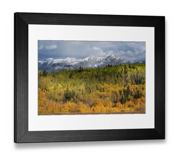 Framed Print : USA, Colorado, Uncompahgre National Forest. San Juan Mountains and aspen forest in autumn Framed Print : USA, Colorado, Uncompahgre National Forest. San Juan Mountains and aspen forest in autumn