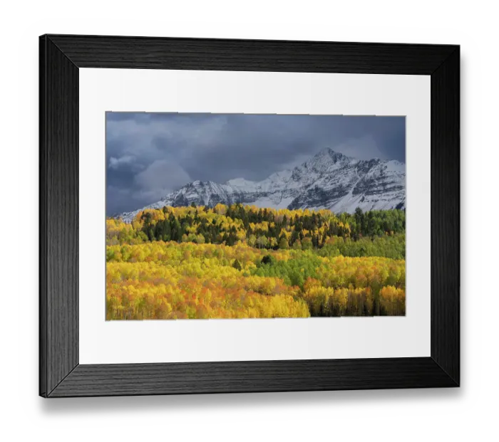 Framed Print : USA, Colorado, Uncompahgre National Forest. Storm clouds above Wilson Peak and autumn aspen forest Framed Print : USA, Colorado, Uncompahgre National Forest. Storm clouds above Wilson Peak and autumn aspen forest