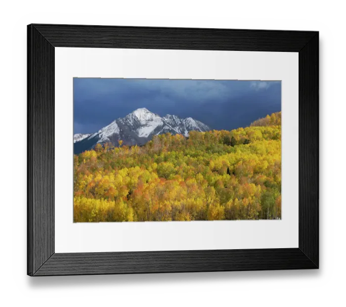 Framed Print : USA, Colorado, Uncompahgre National Forest. Mountain and aspen forest in autumn Framed Print : USA, Colorado, Uncompahgre National Forest. Mountain and aspen forest in autumn