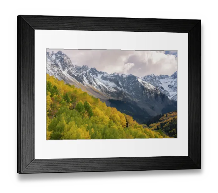 Framed Print : USA, Colorado, Uncompahgre National Forest. San Juan Mountains and aspen forest in autumn Framed Print : USA, Colorado, Uncompahgre National Forest. San Juan Mountains and aspen forest in autumn