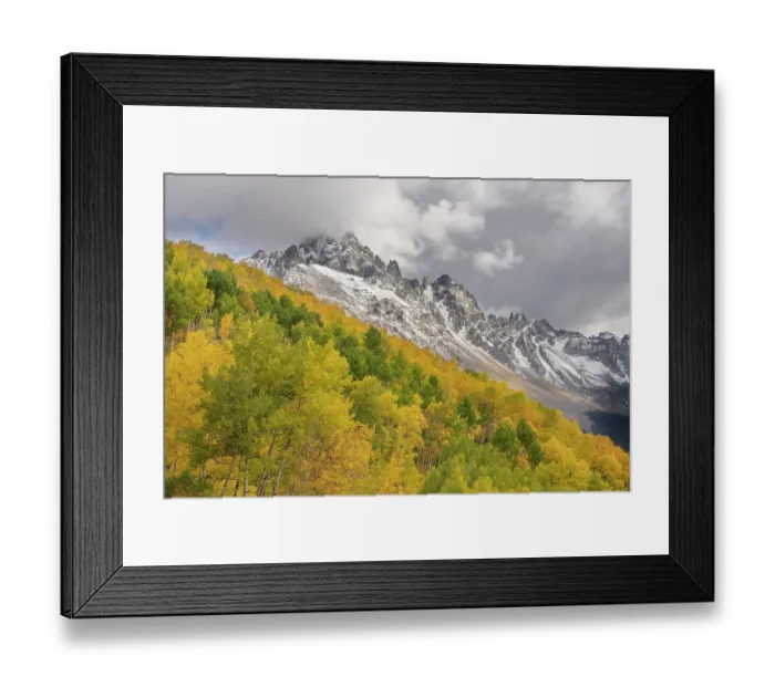 Framed Print : USA, Colorado, Uncompahgre National Forest. San Juan Mountains and aspen forest in autumn