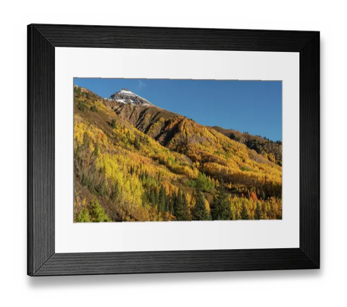 Framed Print : USA, Colorado, Uncompahgre National Forest. San Juan Mountains and aspen forest in autumn Framed Print : USA, Colorado, Uncompahgre National Forest. San Juan Mountains and aspen forest in autumn