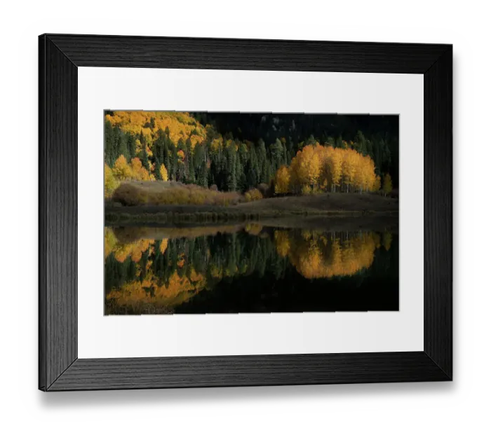 Framed Print : USA, Colorado, Uncompahgre National Forest. Forest reflects in pond Framed Print : USA, Colorado, Uncompahgre National Forest. Forest reflects in pond