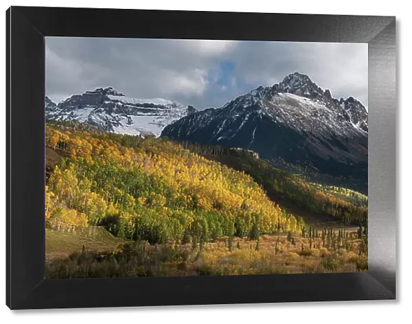 USA, Colorado, Uncompahgre National Forest. Panoramic of Mt Sneffels and forest landscape in autumn