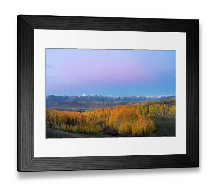 Framed Print : USA, Colorado, Uncompahgre National Forest. San Juan Mountains and aspen forest in autumn Framed Print : USA, Colorado, Uncompahgre National Forest. San Juan Mountains and aspen forest in autumn