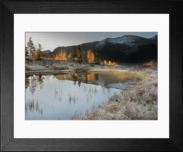 Framed Print : USA, Colorado, Uncompahgre National Forest. Pond reflections on frosty sunrise