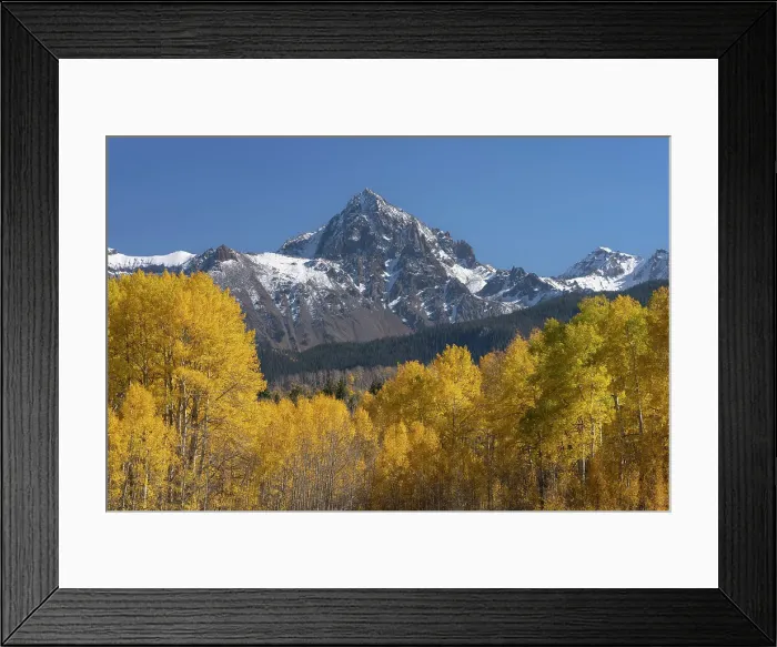 Framed Print : USA, Colorado, Uncompahgre National Forest. Aspens and mountains in autumn Framed Print : USA, Colorado, Uncompahgre National Forest. Aspens and mountains in autumn