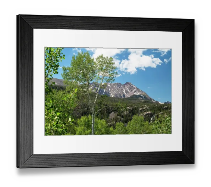 Framed Print : USA, Colorado. White River National Forest Framed Print : USA, Colorado. White River National Forest