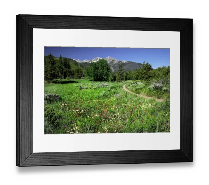 Framed Print : USA, Colorado. Trail through wildflower meadow and mountain peaks in White River National Forest