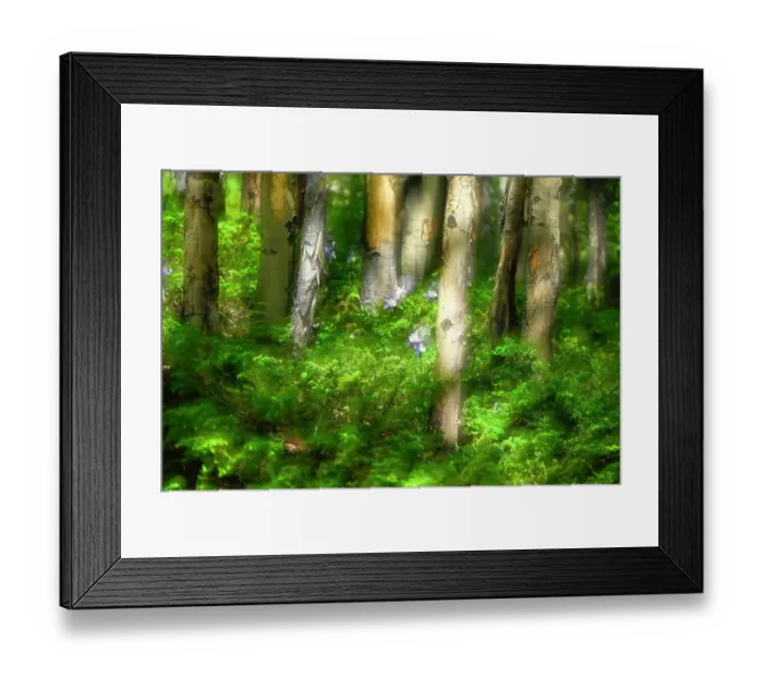Framed Print : Forest of trees and wildflowers, Creative composite with soft focus