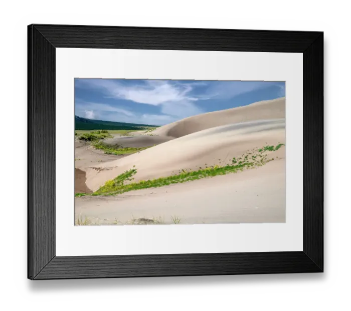 Framed Print : USA, Colorado. Wildflowers blooming in Great Sand Dunes National Park