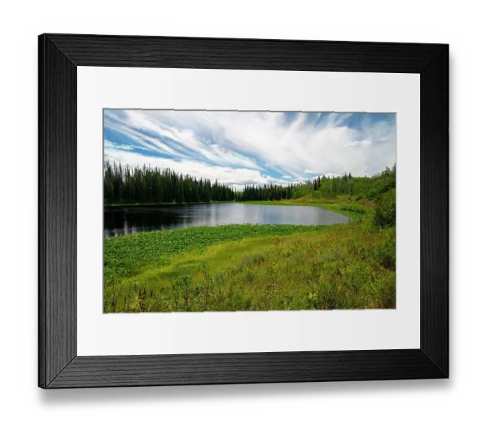 Framed Print : USA, Colorado. Hinman Lake surrounded by lily pads