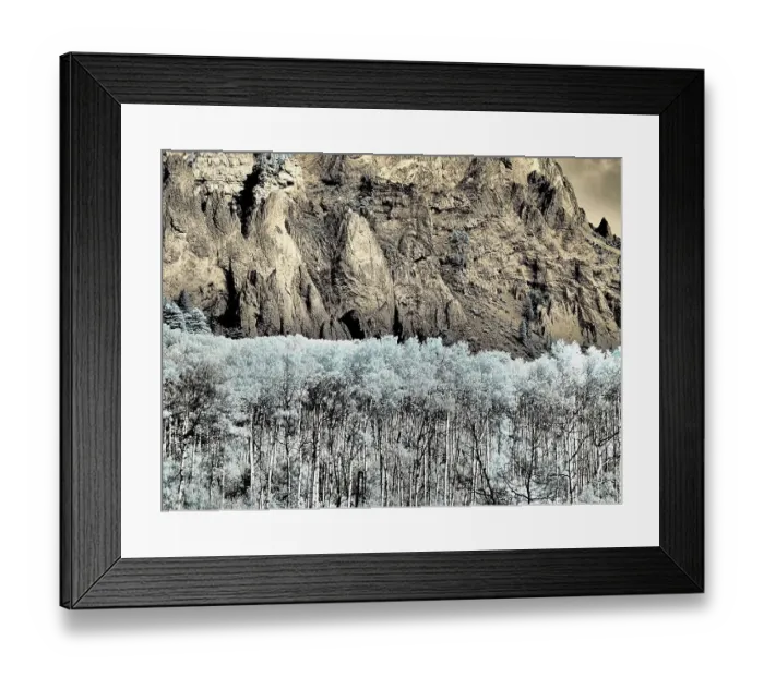 Framed Print : USA, Colorado. Infrared of Aspens against rock wall Framed Print : USA, Colorado. Infrared of Aspens against rock wall