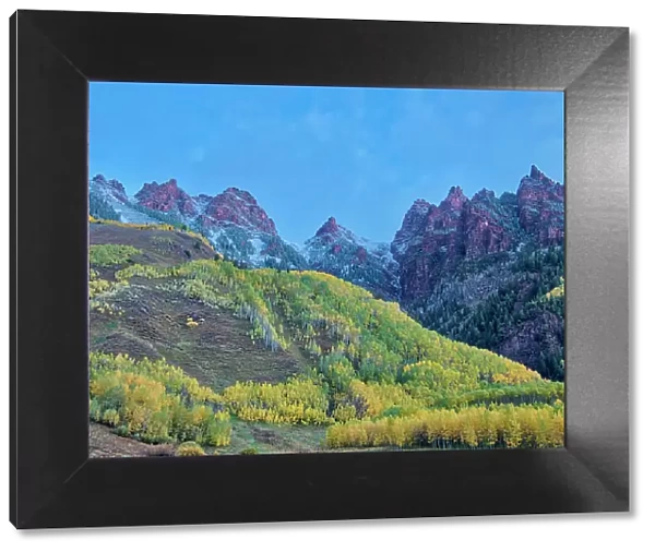 USA, Colorado, Aspen. Maroon Bells, snow-covered Aspens and firs