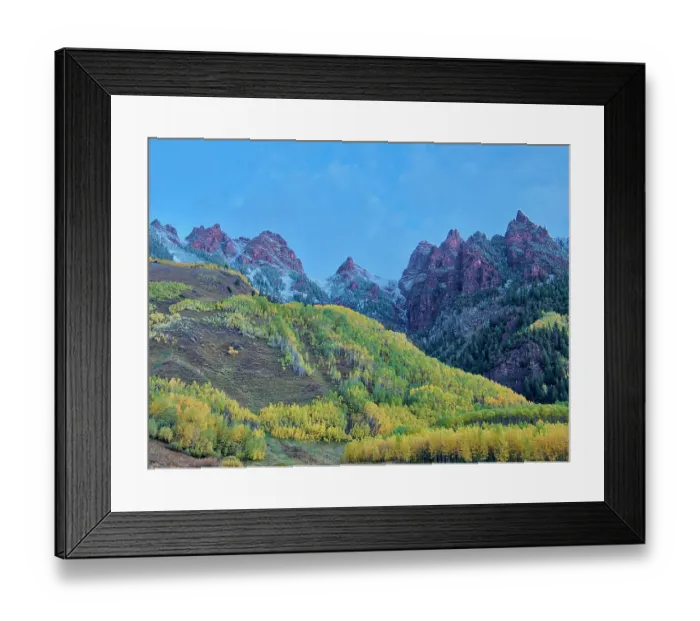 Framed Print : USA, Colorado, Aspen. Maroon Bells, snow-covered Aspens and firs