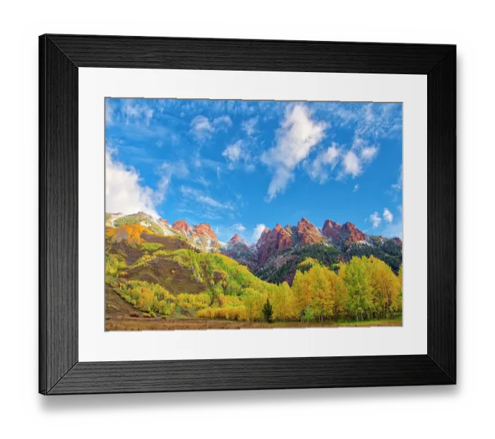Framed Print : USA, Colorado, Aspen. Maroon Bells, snow-covered Aspens and firs Framed Print : USA, Colorado, Aspen. Maroon Bells, snow-covered Aspens and firs