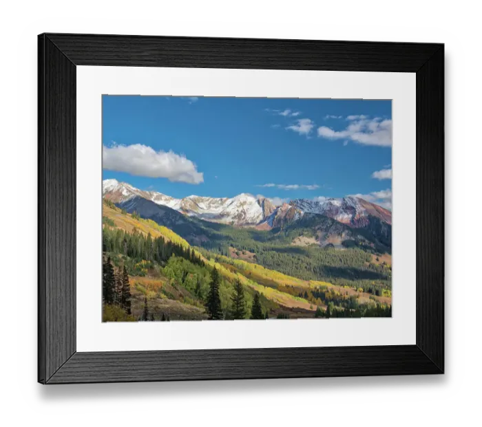 Framed Print : USA, Colorado, Kebler Pass. Fall foliage and Aspen trees at their peak, near Crested Butte