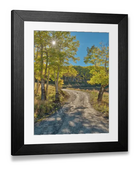 Framed Print : USA, Colorado, Quray. Last Dollar Road with sun peaking through Aspen tree Framed Print : USA, Colorado, Quray. Last Dollar Road with sun peaking through Aspen tree