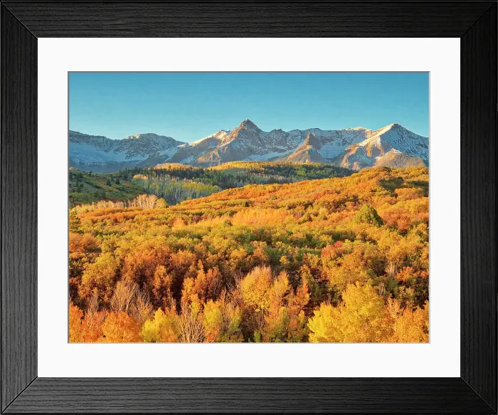 Framed Print : USA, Colorado, Quray. Dallas Divide, sunrise on the Mt. Snaffles with autumn colors Framed Print : USA, Colorado, Quray. Dallas Divide, sunrise on the Mt. Snaffles with autumn colors