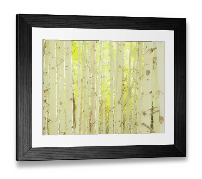 Framed Print : USA, Colorado, Kebler Pass Framed Print : USA, Colorado, Kebler Pass