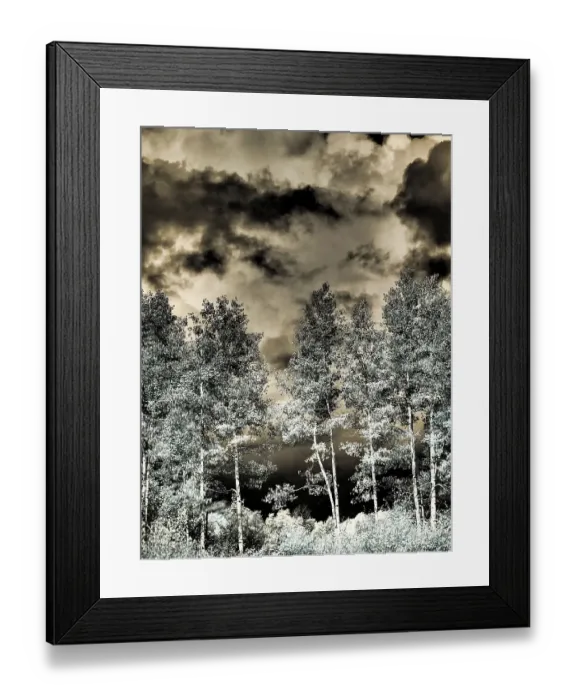 Framed Print : USA, Colorado. Infrared of Aspens along the Kebler Pass Framed Print : USA, Colorado. Infrared of Aspens along the Kebler Pass