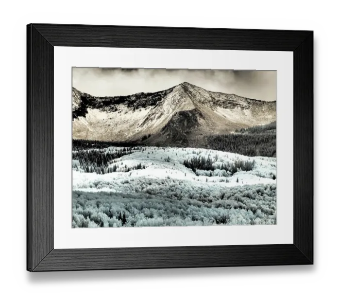 Framed Print : USA, Colorado. Infrared of Aspens with mountain range in fresh snow Framed Print : USA, Colorado. Infrared of Aspens with mountain range in fresh snow