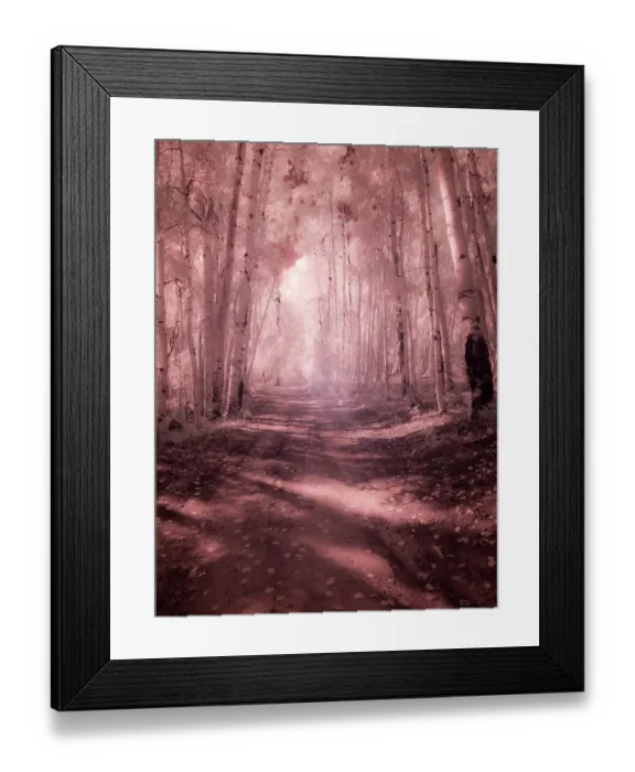 Framed Print : USA, Colorado. Infrared of road through Kebler Pass