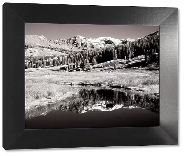 USA, Colorado. Infrared of Aspen trees reflecting in small river