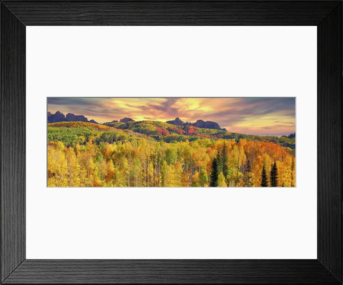 Framed Print : USA, Colorado, Kebler Pass. panorama of the autumn color on Kebler Pass Framed Print : USA, Colorado, Kebler Pass. panorama of the autumn color on Kebler Pass