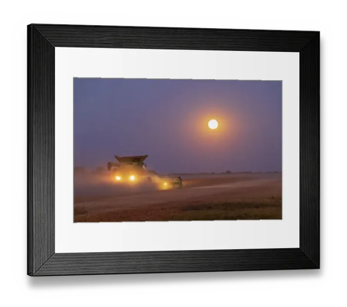 Framed Print : Combine harvesting soybeans as full moon rises (harvest moon), Marion County, Illinois. (Editorial Use Only) Framed Print : Combine harvesting soybeans as full moon rises (harvest moon), Marion County, Illinois. (Editorial Use Only)